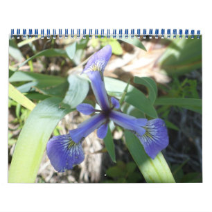 Calendário NY através de fotos