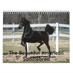Calendário O americano bonito Saddlebred