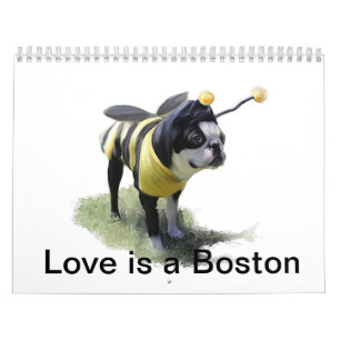 Calendário O amor é uma Boston