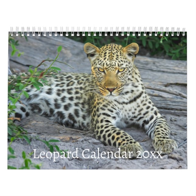 Calendário O Animal Selvagem do Leopardo (Capa)