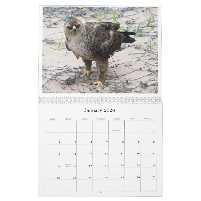 Calendário O Birdlife africano Calendar (Jan 2026)