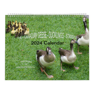 CALENDÁRIO O *CANADIANO GEESE* - *ESQUEMA* 2024
