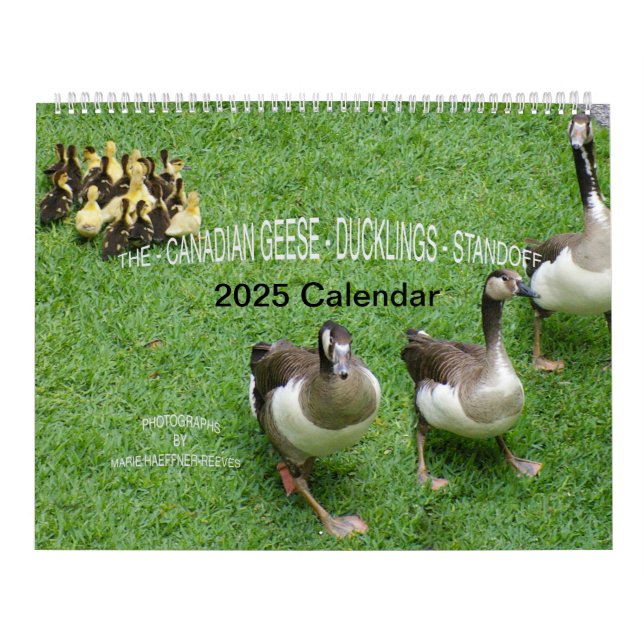 CALENDÁRIO O *CANADIANO GEESE* - *ESQUEMA* 2025 (Capa)