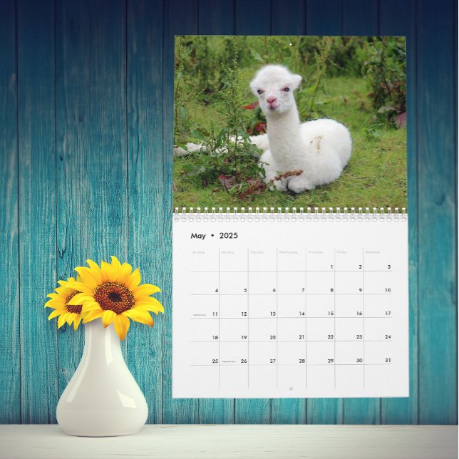 Calendário O costume de Llama e Alpaca a qualquer ano (Criador carregado)