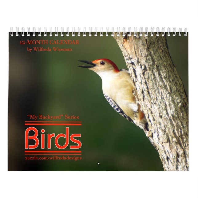 Calendário ò dos pássaros do quintal em série (Capa)