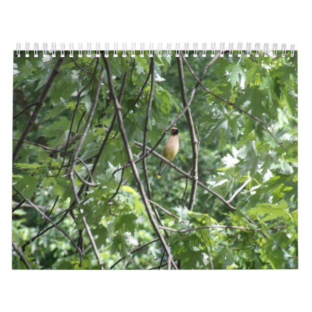 Calendário O excelente ao ar livre (Capa)