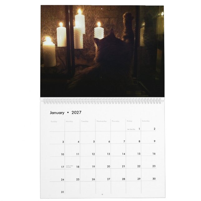 Calendário O Excelente Cat Menace (Jan 2027)