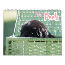 Calendário O GCH Notta Bears Me Interessou