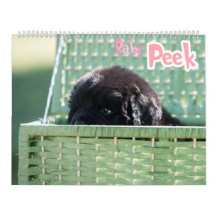 Calendário O GCH Notta Bears Me Interessou