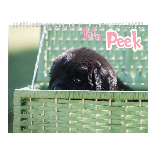 Calendário O GCH Notta Bears Me Interessou (Capa)