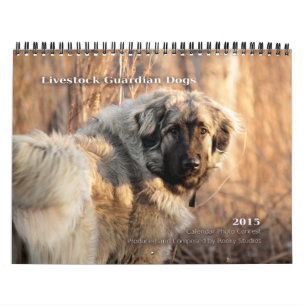 Calendário O guardião dos rebanhos animais persegue o tamanh