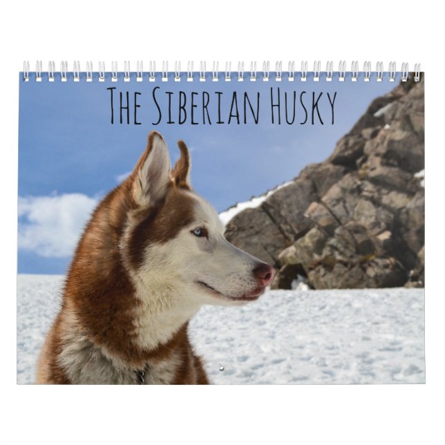 Calendário O Husky Siberiano (Capa)