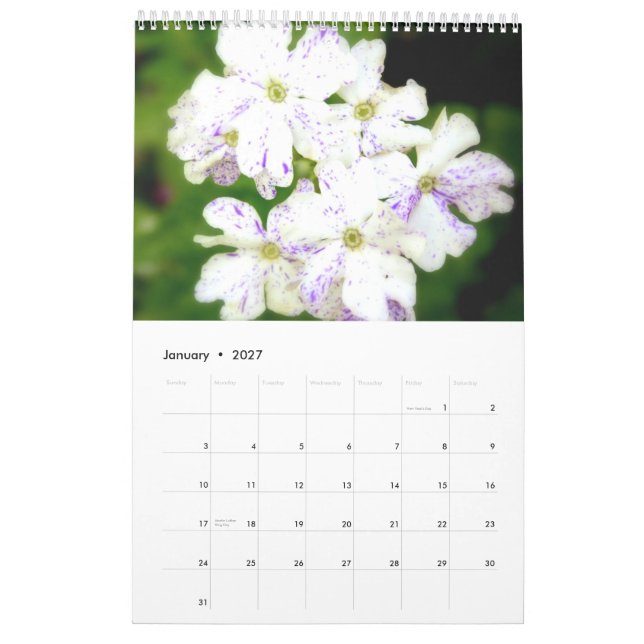 Calendário O jardim roxo 2013 (Jan 2027)