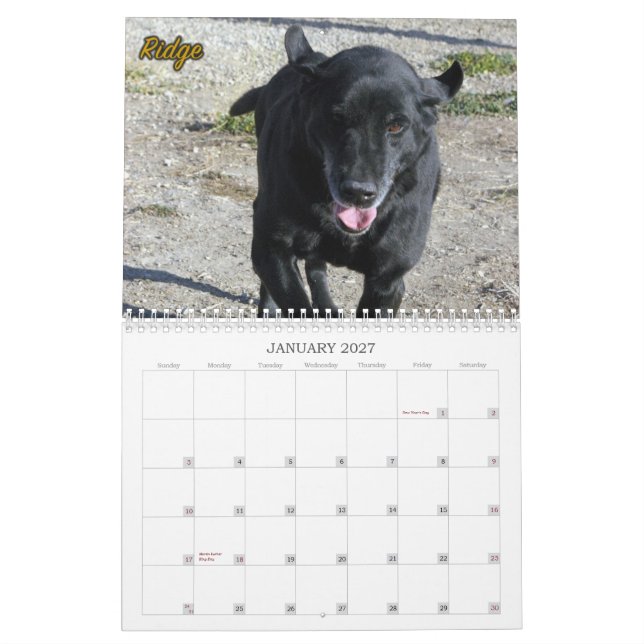 Calendário O Labradors do canil de quatro patas (Jan 2027)