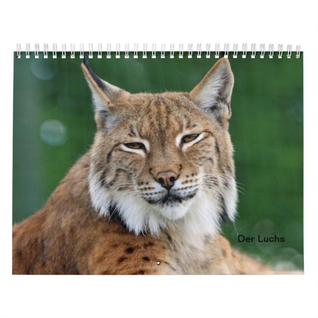 Calendário O lince (Capa)