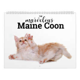 Calendário O maravilhoso Maine Coon Calender