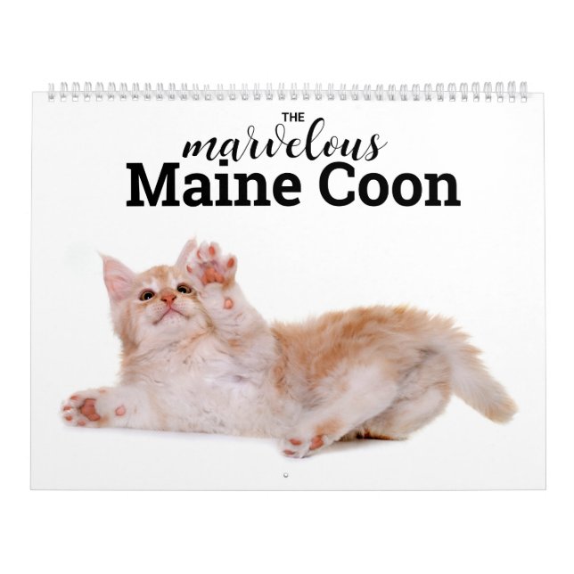 Calendário O maravilhoso Maine Coon Calender (Capa)