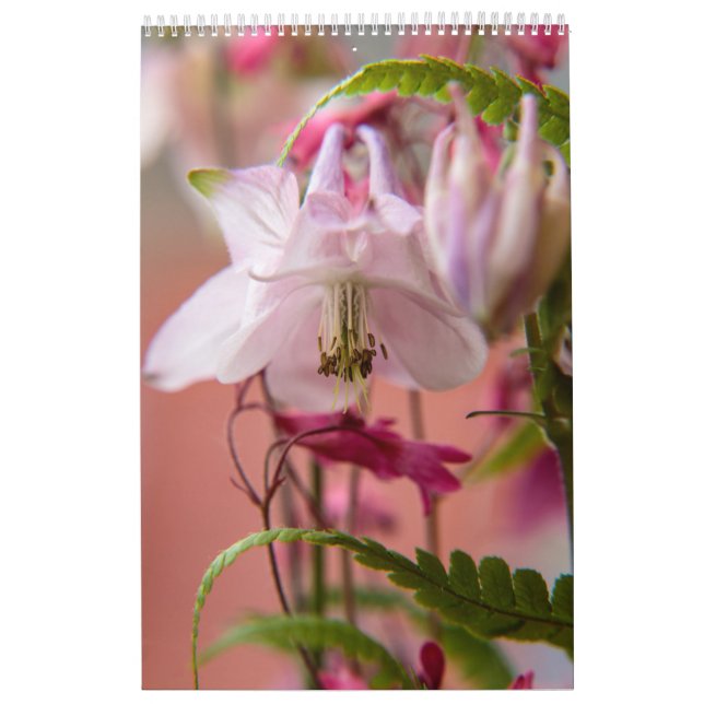 Calendário O poder da flor (Capa)
