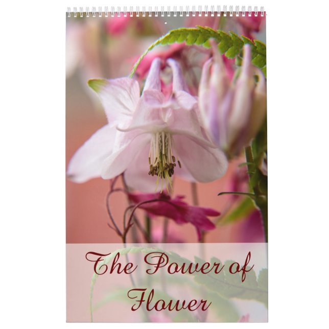 Calendário O poder da flor (Capa)