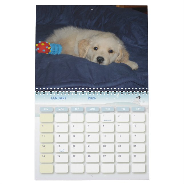 Calendário O primeiro ano de Kosmo (Jan 2026)