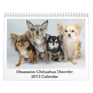 Calendário obsessivo da desordem da chihuahua 2013