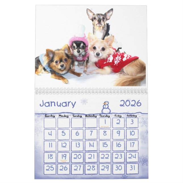 Calendário obsessivo da desordem da chihuahua 2013 (Jan 2026)
