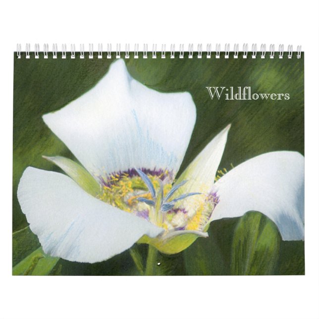 Calendário ocidental dos desenhos do Wildflower do (Capa)