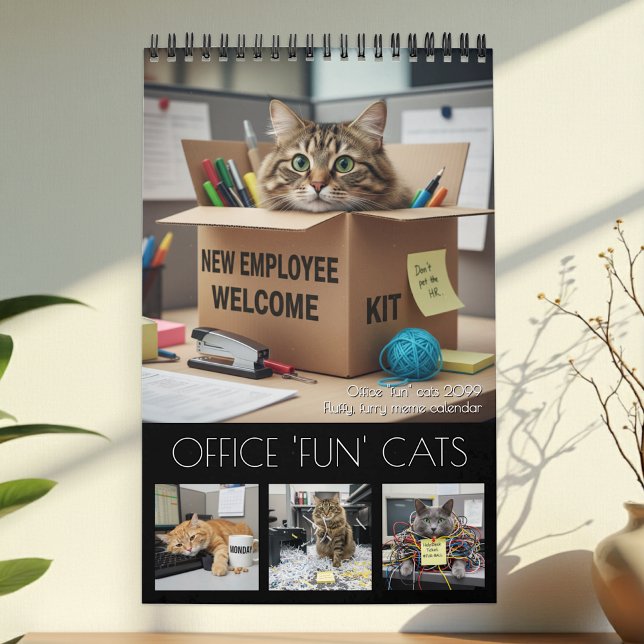 Calendário Office Fun Cats Calendar 2026 / Cat Photo Calendar (Office Fun Cats Calendar / cats meme photo)