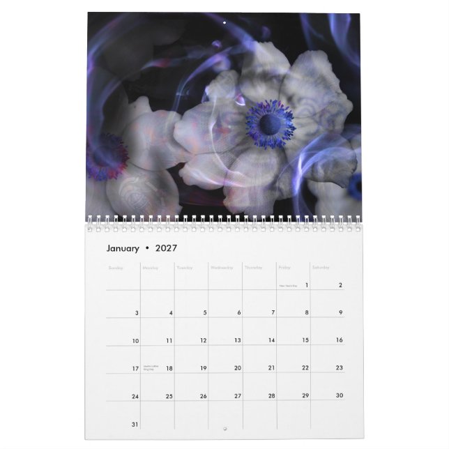 Calendário oficial da aparência 2011 de Bowen (Jan 2027)