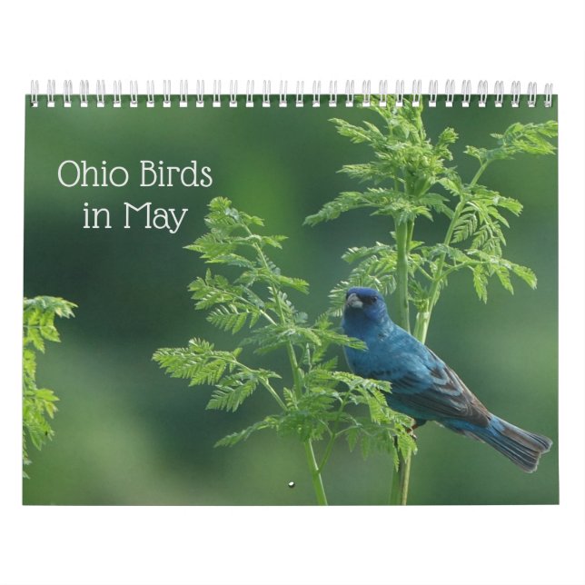 Calendário Ohio Birds em maio (Capa)