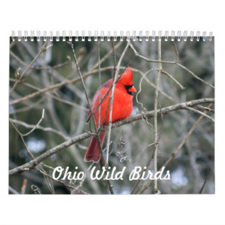 Calendário Ohio Wild Birds