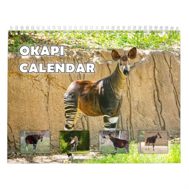 Calendário Okapi (Capa)