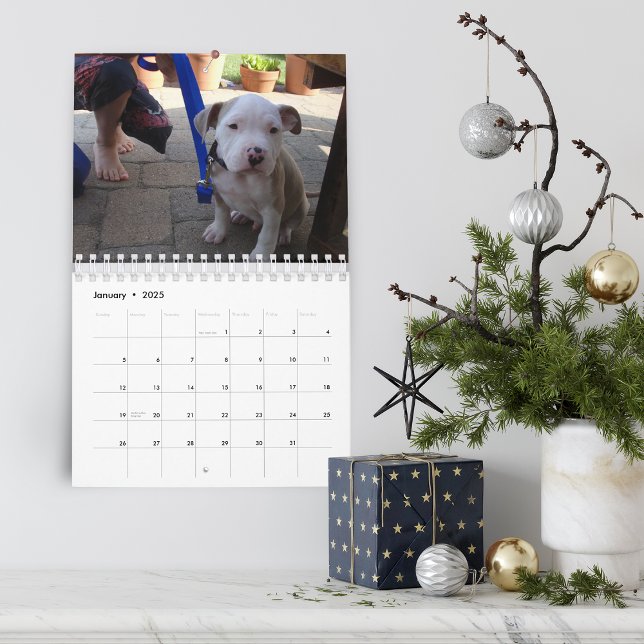 Calendário Olá, Pet Puppy Personalizado 2021 (Hello Pet Puppy Custom Calendar)
