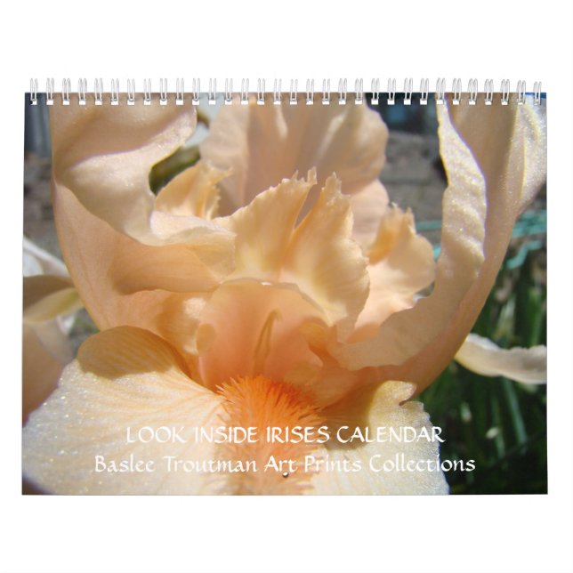 CALENDÁRIO OLHE DENTRO ÍRIS Flores de Íris (Capa)