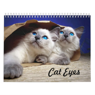 Calendário Olhos de gato