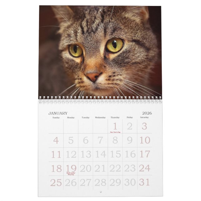 Calendário Olhos de gato (Jan 2026)