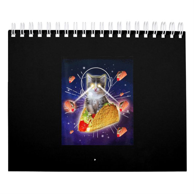Calendário Olhos Laser para Gatos de Taco Espacial (Capa)