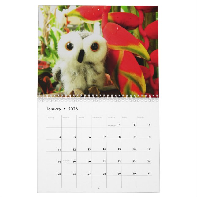 Calendário Ophelia e amigos 2009 (Jan 2026)