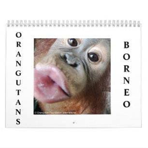 Calendário Orangutanos