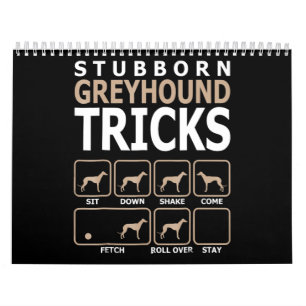 Calendário Orgulho Gay de Sinalizador Lgbt Ser Presentes De F