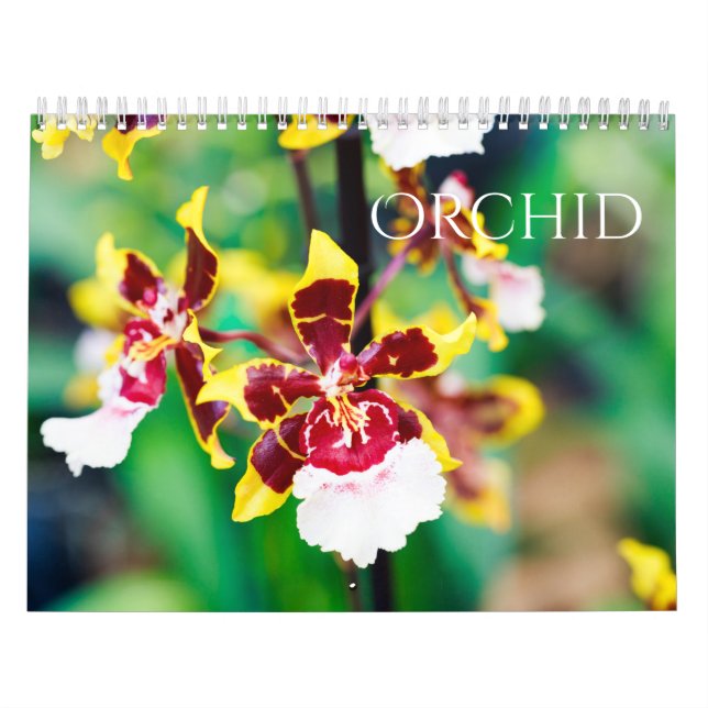 Calendário Orquídea (Capa)