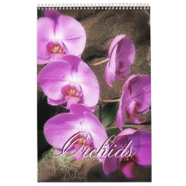Calendário Orquídeas