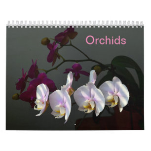 Calendário Orquídeas