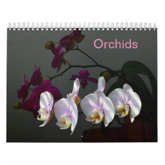 Calendário Orquídeas