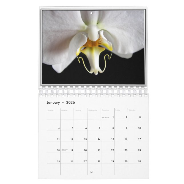 CALENDÁRIO ORQUÍDEAS 2011 (Jan 2026)