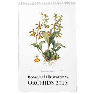 Calendário Orquídeas 2015