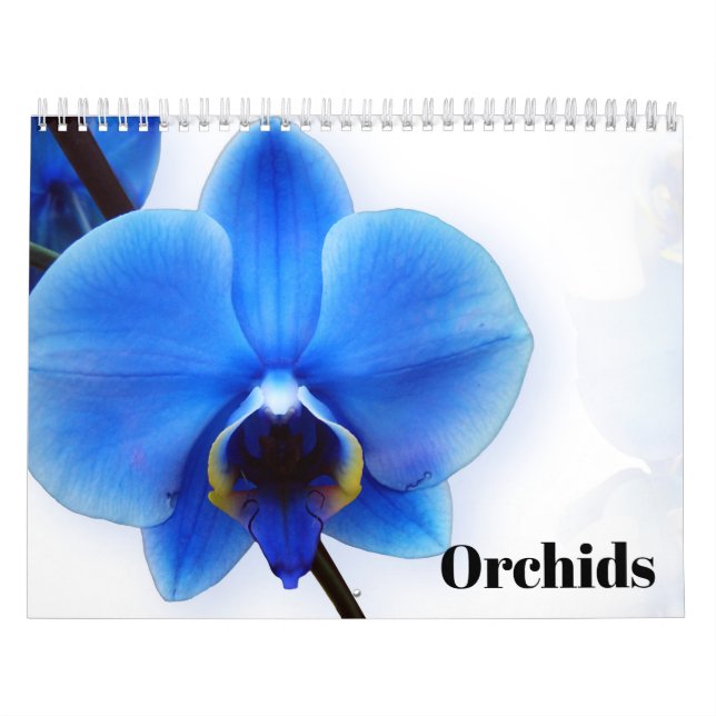 Calendário Orquídeas 2025 (Capa)