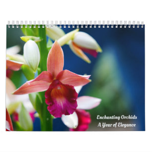Calendário Orquídeas Encantadoras