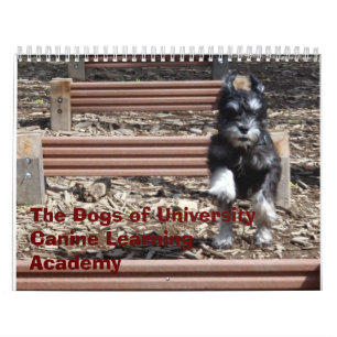 Calendário Os cães da academia de aprendizagem canina da