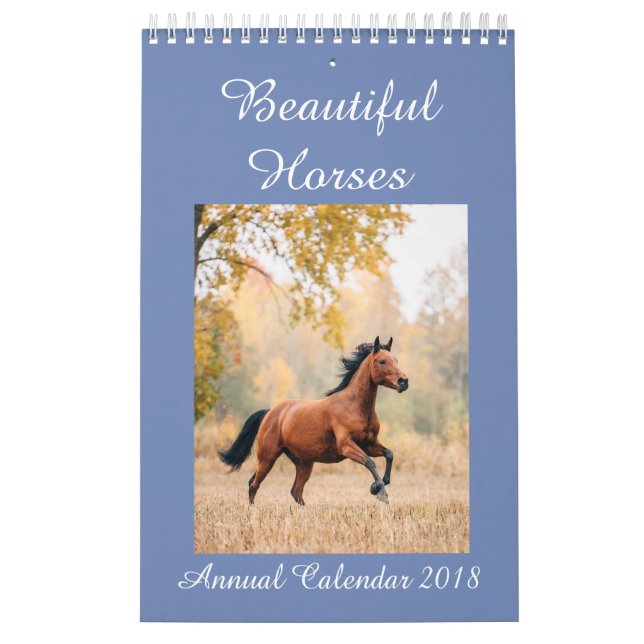 Calendário Os cavalos Calendar 2018 (Capa)